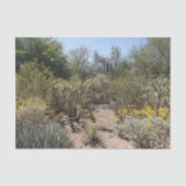 Papier Mousseline Papier Tissu Désert (Recto)