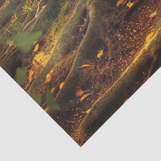 Papier Mousseline papier tissu elfin trehouse (Détail)