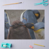 Papier Mousseline papier tissu empereur pingouins (Artisanat)