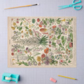 Papier Mousseline Papier Tissu Fleurs Botaniques Françaises (Artisanat)