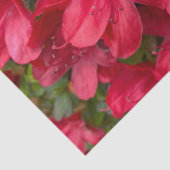 Papier Mousseline Papier Tissu Floral frais (Détail)