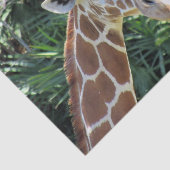 Papier Mousseline Papier Tissu Giraffe (Détail)