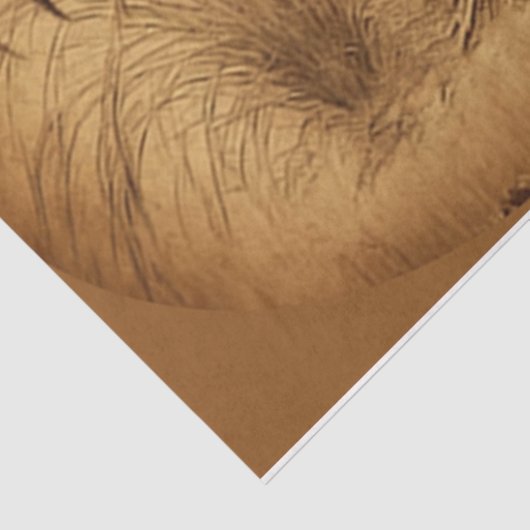 Papier Mousseline Papier Tissu Grungy Rosters (Détail)