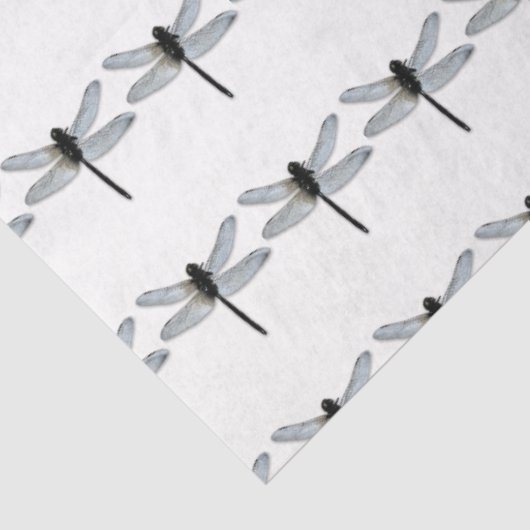 PAPIER MOUSSELINE PAPIER TISSU HALLOWEEN DRAGONFLY (Détail)