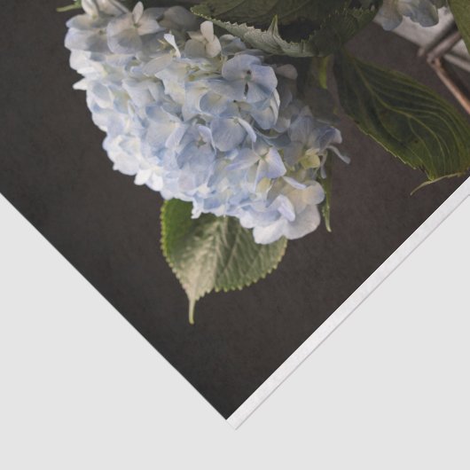 Papier Mousseline Papier Tissu Hydrangea (Détail)
