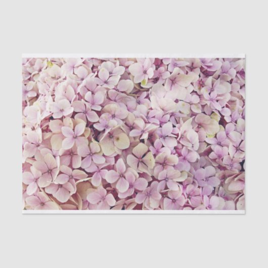 Papier Mousseline Papier Tissu Hydrangea rose (Recto)