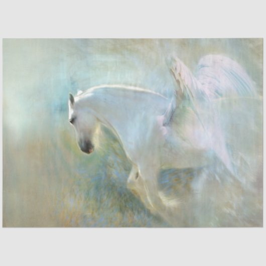 Papier Mousseline papier tissu magique pegasus (Recto)