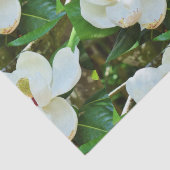 Papier Mousseline Papier Tissu Magnolia Blossoms (Détail)