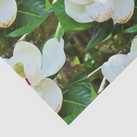 Papier Mousseline Papier Tissu Magnolia Blossoms (Détail)