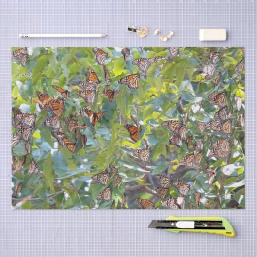 Papier Mousseline Papier Tissu Monarque Papier papillon (Artisanat)