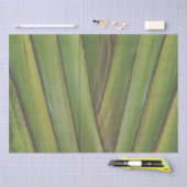 Papier Mousseline Papier Tissu Palm Traveller (Artisanat)