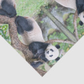 Papier Mousseline Papier Tissu Panda Géant / Papier Découpage (Détail)