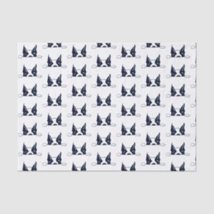 Papier Mousseline Papier Tissu Peekaboo