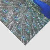 PAPIER MOUSSELINE PAPIER TISSU PHOTO PEACOCK (Détail)