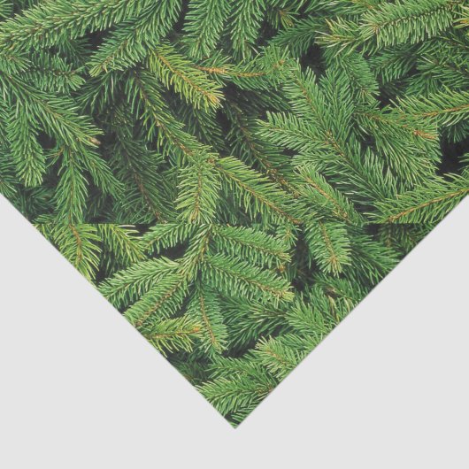 Papier Mousseline Papier Tissu Pine Blanche (Détail)