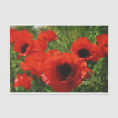 Papier Mousseline Papier Tissu Poppy (Recto)