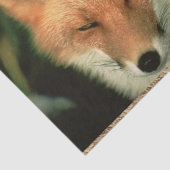 Papier Mousseline Papier Tissu Red Fox (Détail)