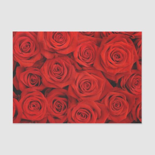 Papier Mousseline Papier Tissu Roses Rouges (Recto)