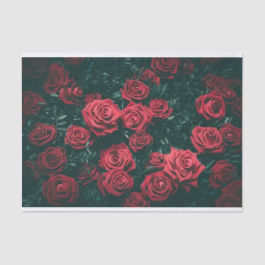 Papier Mousseline Papier Tissu Roses Rouges (Recto)