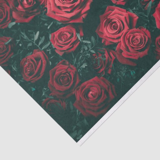 Papier Mousseline Papier Tissu Roses Rouges (Détail)