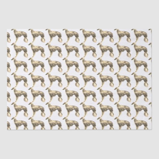 Papier Mousseline Papier Tissu Silken Windhound (Recto)