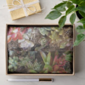 Papier Mousseline Papier Tissu Succulent (Cadeau)