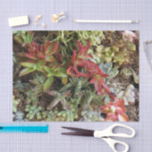 Papier Mousseline Papier Tissu Succulent (Artisanat)