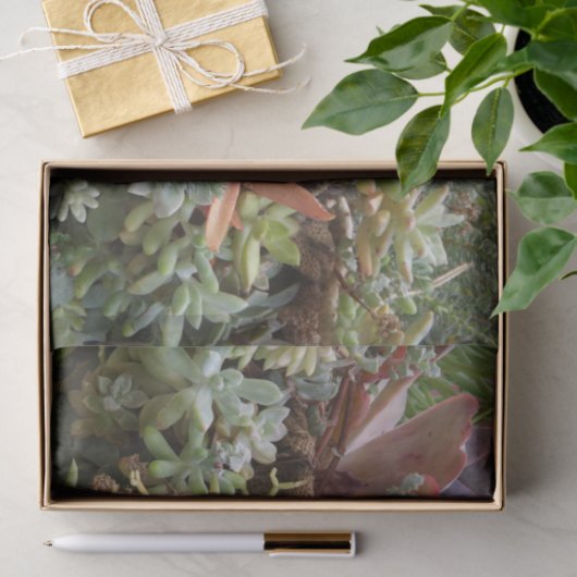 Papier Mousseline Papier Tissu Succulent (Cadeau)
