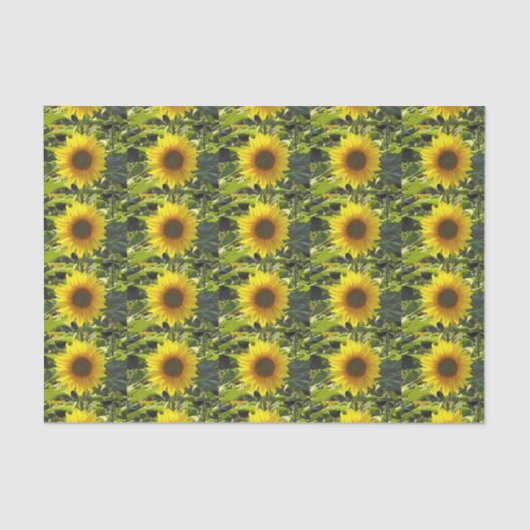 Papier Mousseline Papier Tissu Sunny Gold (Recto)