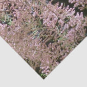 Papier Mousseline Papier Tissu Tamarisk Blossom (Détail)