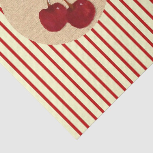 Papier Mousseline Papier Tissu Tissu Tissu Tissu (Détail)