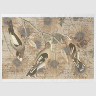Papier Mousseline Papier Tissu vintage pour le recouvrement d'oiseau
