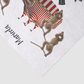 Papier Mousseline Papier Tissu Zoo Cirque Clown Seal Canards (Détail)