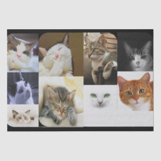 Papier Mousseline Papier tissulaire Amoureux des chats