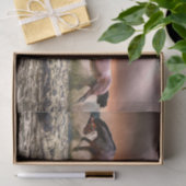 Papier Mousseline Papier tissulaire pour chevaux (Cadeau)