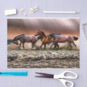 Papier Mousseline Papier tissulaire pour chevaux (Artisanat)