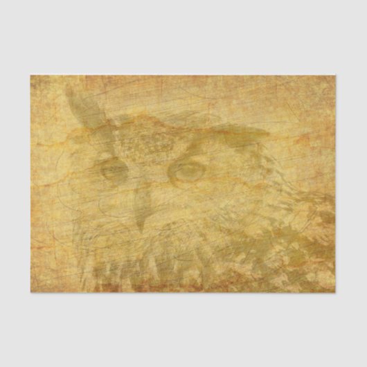 Papier Mousseline Papier Vintage Owl (Recto)