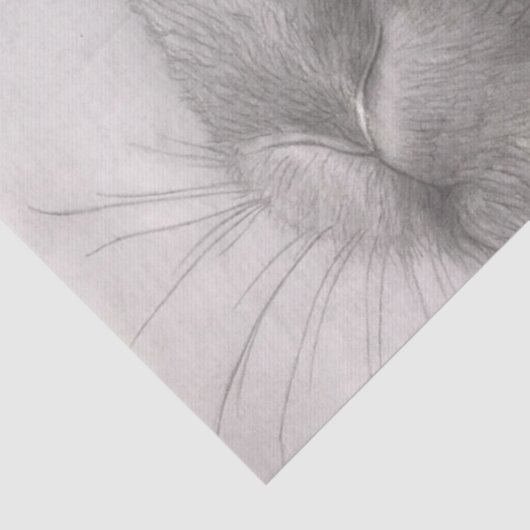 Papier Mousseline Papiers de tissus d'art lapin (Détail)