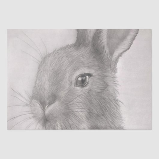 Papier Mousseline Papiers de tissus d'art lapin (Recto)