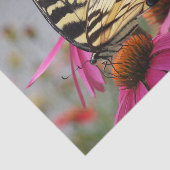 Papier Mousseline Papillon à queue jaune sur Echinacea (Détail)