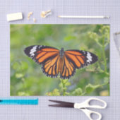 Papier Mousseline Papillon à rayures orange (Artisanat)