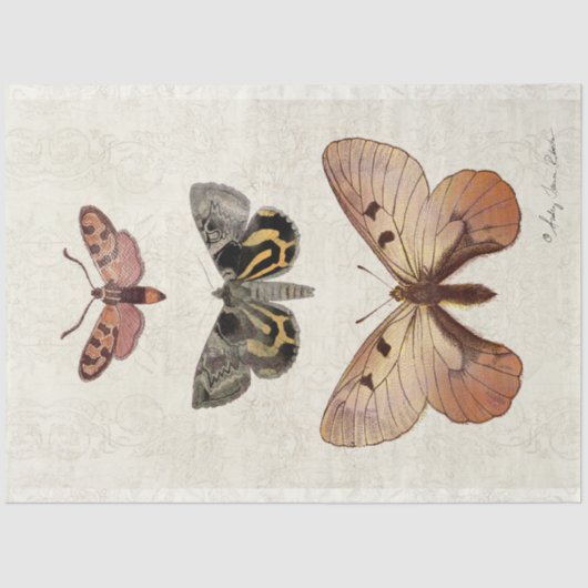 Papier Mousseline Papillon botanique Vintage Peach Blush Decoupage (Recto)