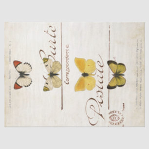 Papier Mousseline Papillon Carte Postale Vintage française Découpage