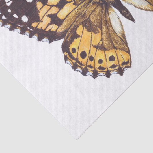 Papier Mousseline Papillon de femme peint (Détail)