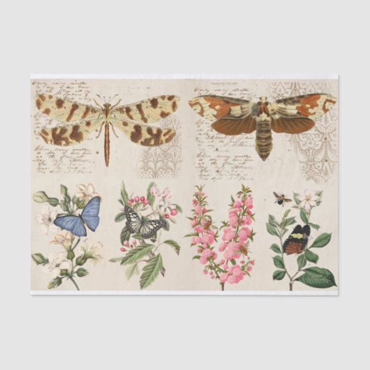 Papier Mousseline Papillon de libellule Fleurs de papillon (Recto)
