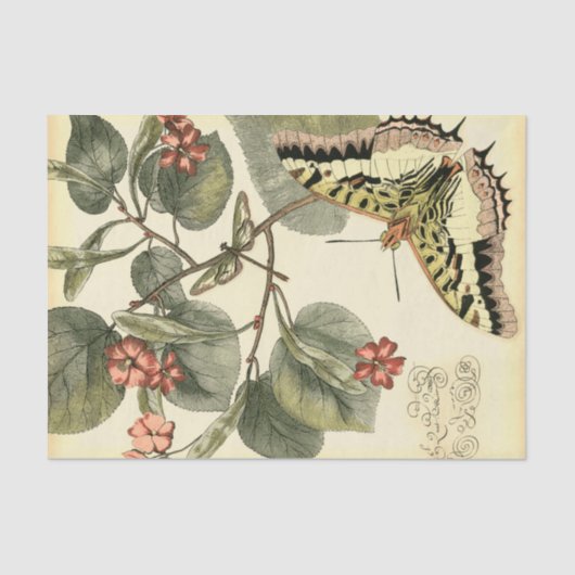 Papier Mousseline Papillon et libellule à fleurs rouges (Recto)