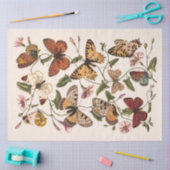 Papier Mousseline Papillon et papillon de Paul Gervais (Artisanat)