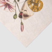 Papier Mousseline Papillon et papillon de Paul Gervais (Détail)