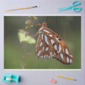 Papier Mousseline Papillon Golfe Fritillaire Passion Orange Vert (Artisanat)