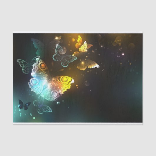 Papier Mousseline Papillon lumineux et papillons de nuit (Recto)